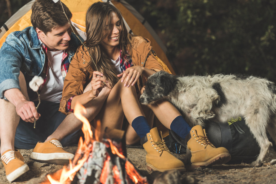 Don't Let Bugs Ruin the Bark: How to Trail-Prep Your Pup
