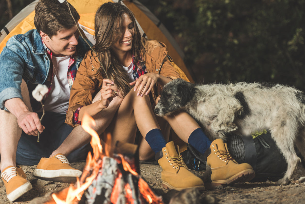 Don't Let Bugs Ruin the Bark: How to Trail-Prep Your Pup