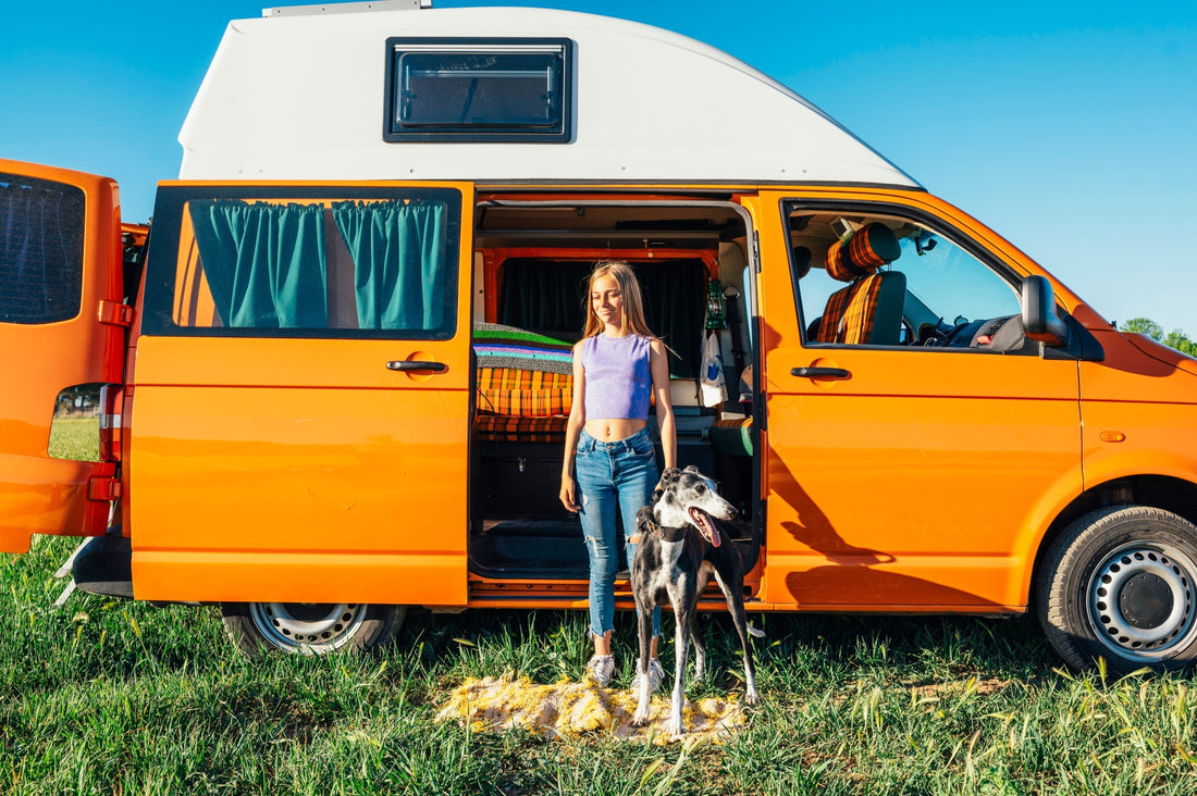 The Furry Co-Pilot: Unleashing the Ultimate Guide to Van Life with Dogs