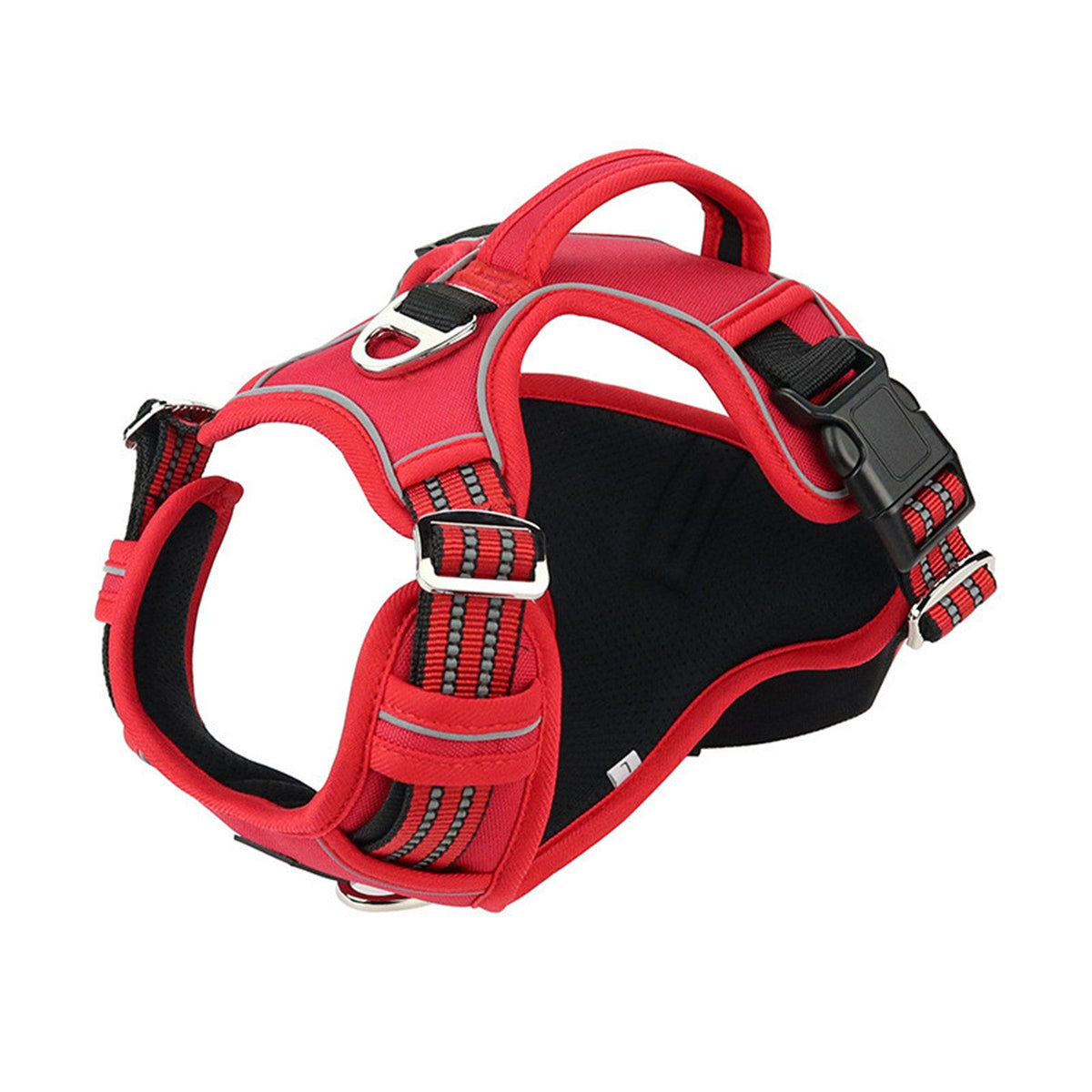 Harness