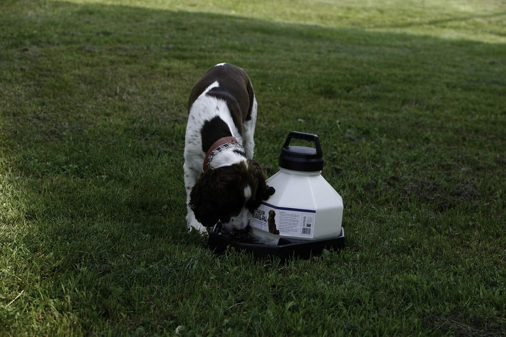 LITTLE GIANT Travel Dog Waterer -3 Gallon
