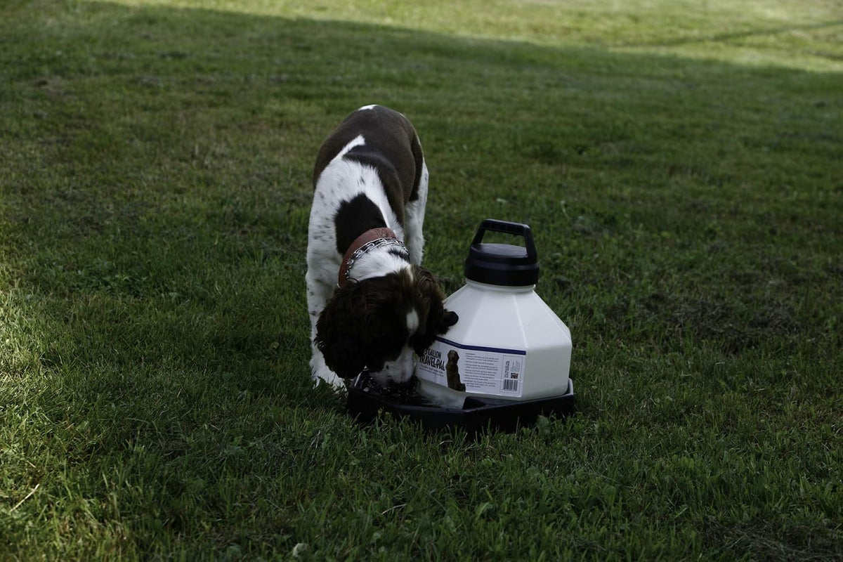 LITTLE GIANT Travel Dog Waterer -3 Gallon