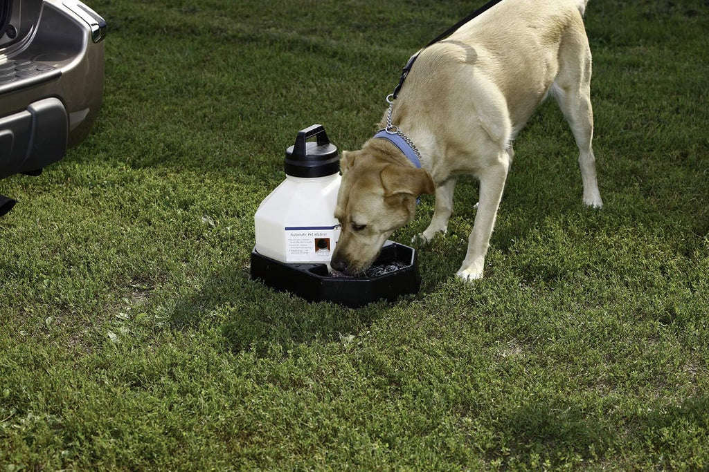 LITTLE GIANT Travel Dog Waterer -3 Gallon